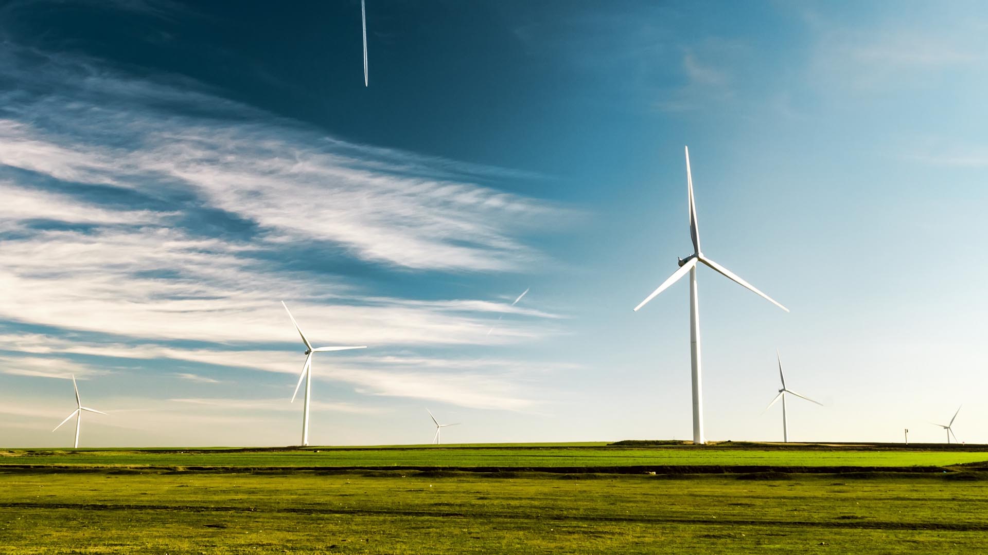 windfarm