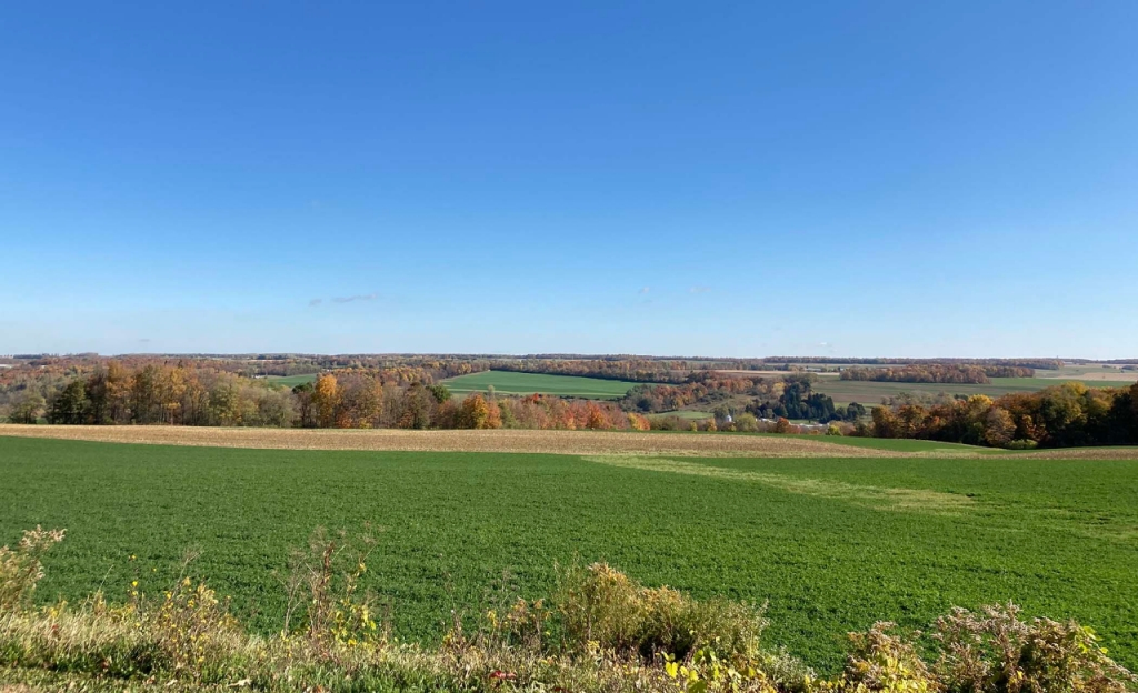 field