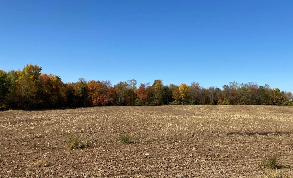 field