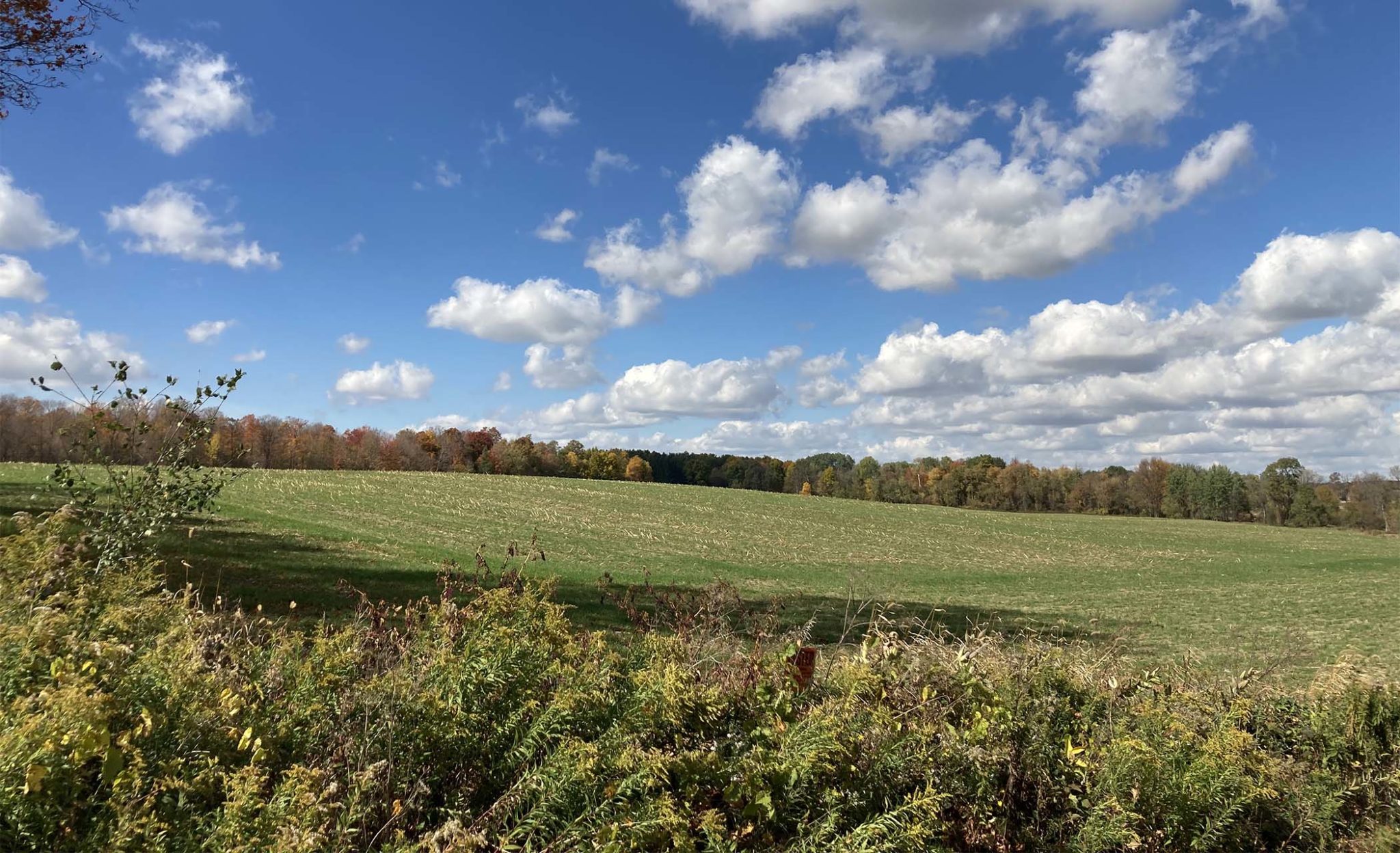 harvest hills st charles harvest hills st charles
